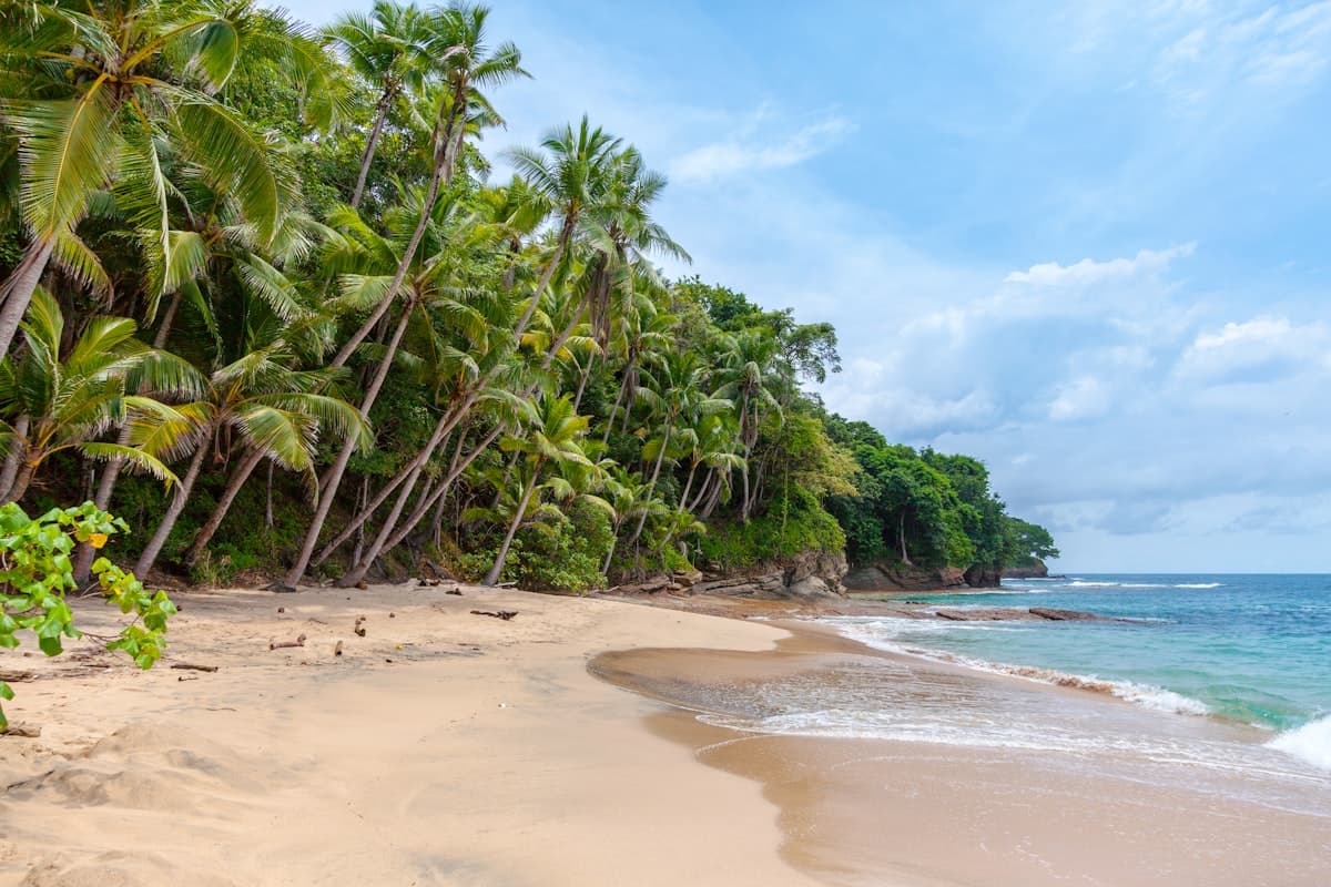 Playa de arena con palmeras y selva, la zona donde competiría tu propiedad